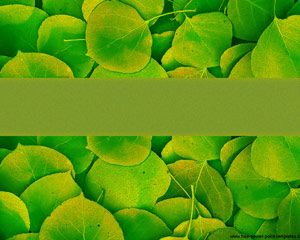 Detail Background Powerpoint Green Nature Nomer 3
