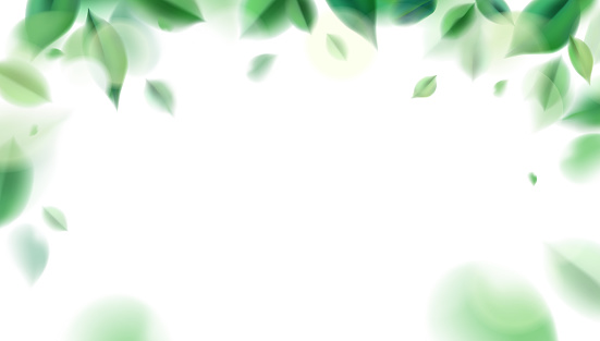 Detail Background Powerpoint Green Nature Nomer 46