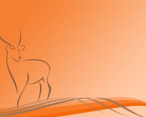 Detail Background Powerpoint Hewan Nomer 38