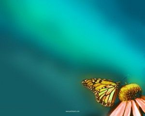 Detail Background Powerpoint Hewan Nomer 47
