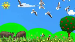 Detail Background Powerpoint Hewan Nomer 56