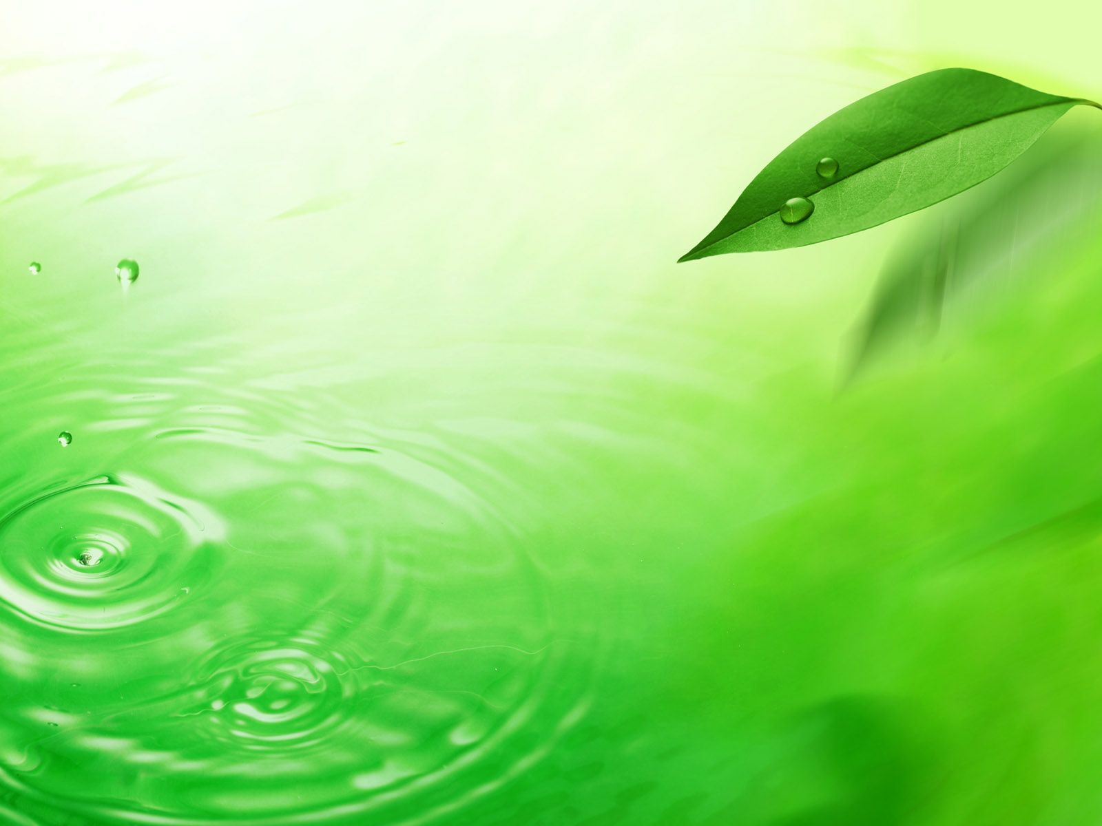 Detail Background Powerpoint Hijau Daun Nomer 13