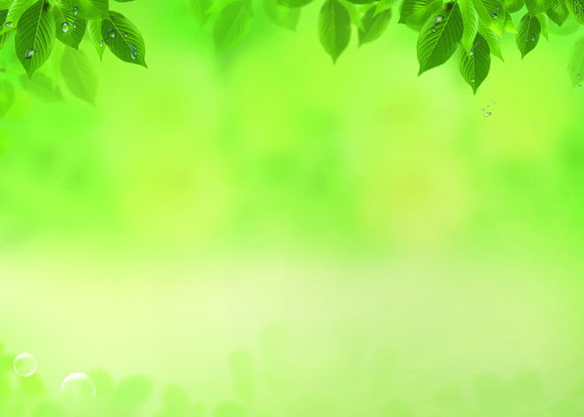Detail Background Powerpoint Hijau Daun Nomer 17
