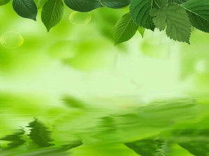 Detail Background Powerpoint Hijau Daun Nomer 25