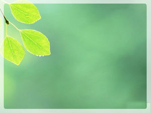 Detail Background Powerpoint Hijau Daun Nomer 26