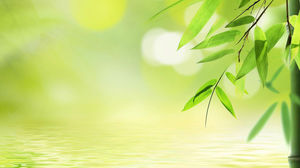 Detail Background Powerpoint Hijau Daun Nomer 27