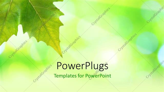 Detail Background Powerpoint Hijau Daun Nomer 39