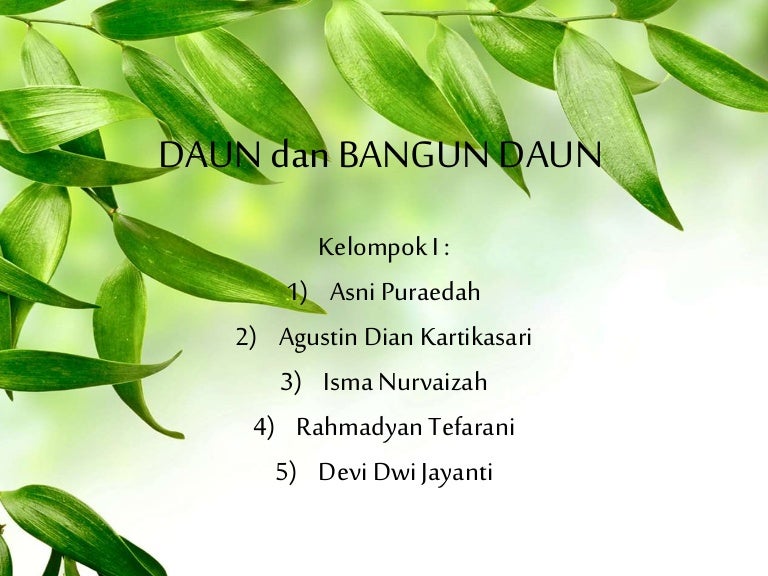 Detail Background Powerpoint Hijau Daun Nomer 50