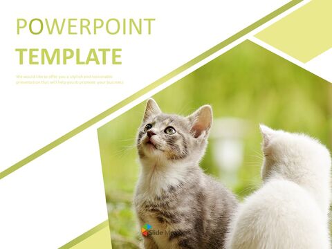 Detail Background Powerpoint Kucing Nomer 13