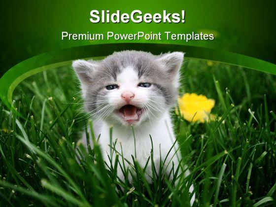 Detail Background Powerpoint Kucing Nomer 17