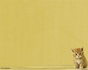 Detail Background Powerpoint Kucing Nomer 3