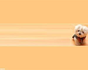 Detail Background Powerpoint Kucing Nomer 21
