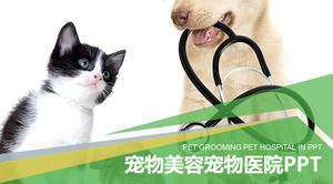 Detail Background Powerpoint Kucing Nomer 23