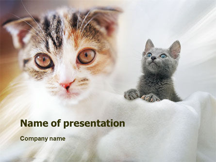 Detail Background Powerpoint Kucing Nomer 25