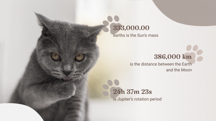 Detail Background Powerpoint Kucing Nomer 26
