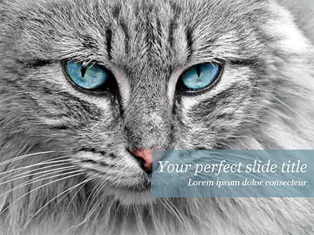 Detail Background Powerpoint Kucing Nomer 29