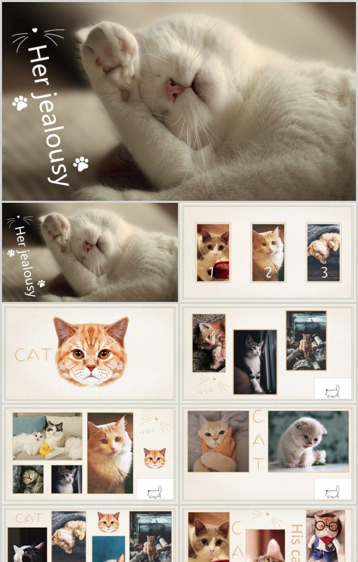 Detail Background Powerpoint Kucing Nomer 36
