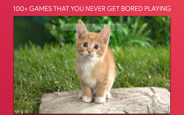 Detail Background Powerpoint Kucing Nomer 37