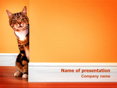 Detail Background Powerpoint Kucing Nomer 5