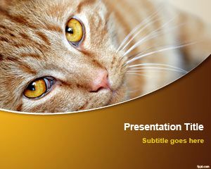 Detail Background Powerpoint Kucing Nomer 6