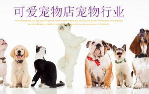 Detail Background Powerpoint Kucing Nomer 48