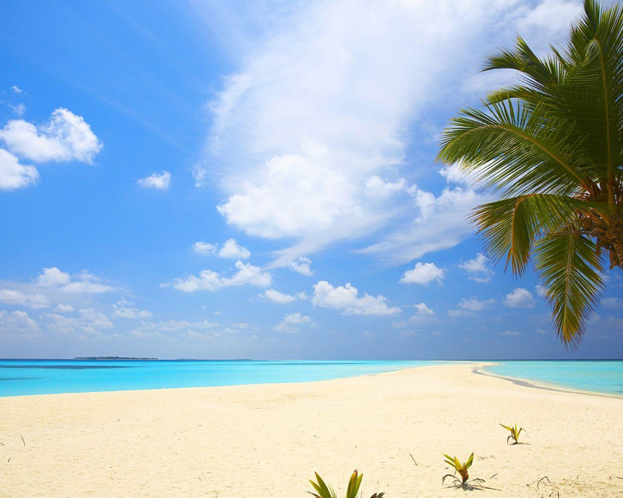 Detail Background Powerpoint Pantai Nomer 18