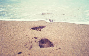 Detail Background Powerpoint Pantai Nomer 32