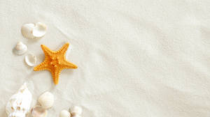 Detail Background Powerpoint Pantai Nomer 5
