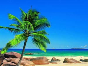 Detail Background Powerpoint Pantai Nomer 38