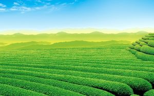 Detail Background Powerpoint Pemandangan Nomer 16