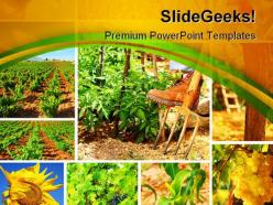 Detail Background Powerpoint Pertanian Nomer 39