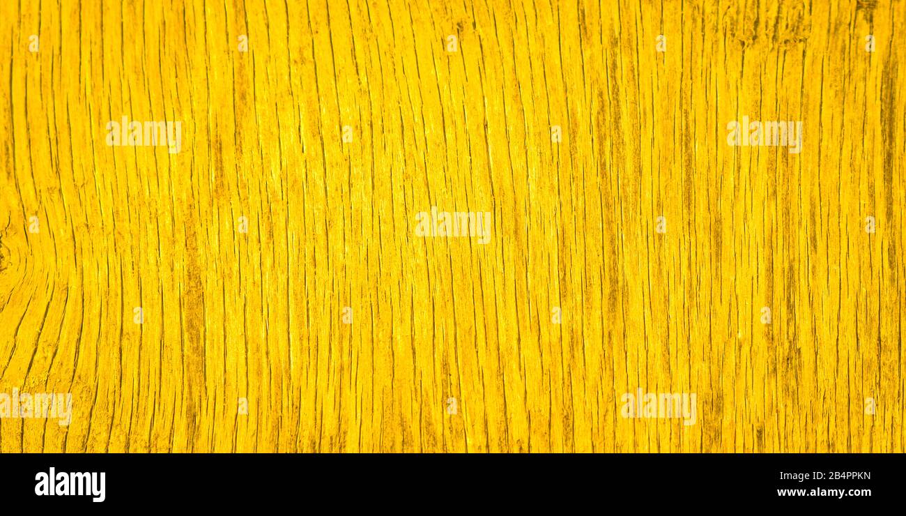 Detail Background Ppkn Nomer 46