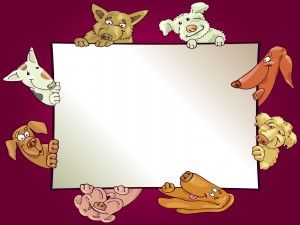 Detail Background Ppt Animals Nomer 18