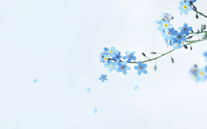 Detail Background Ppt Biru Nomer 38