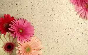Detail Background Ppt Bunga Nomer 12