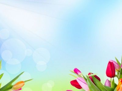 Detail Background Ppt Bunga Nomer 16