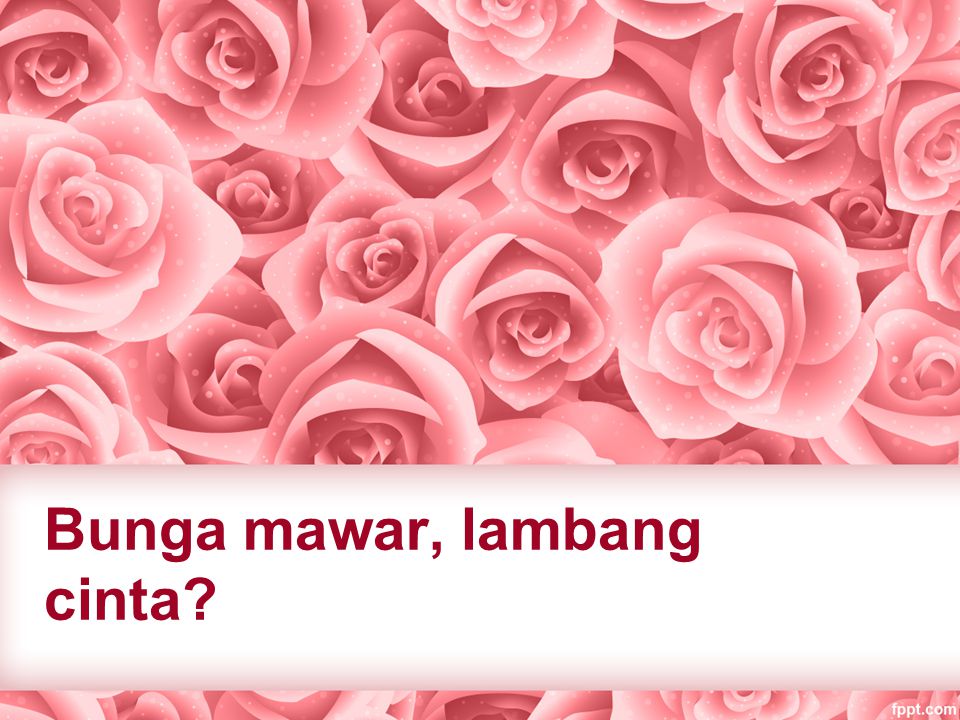 Detail Background Ppt Bunga Mawar Nomer 56