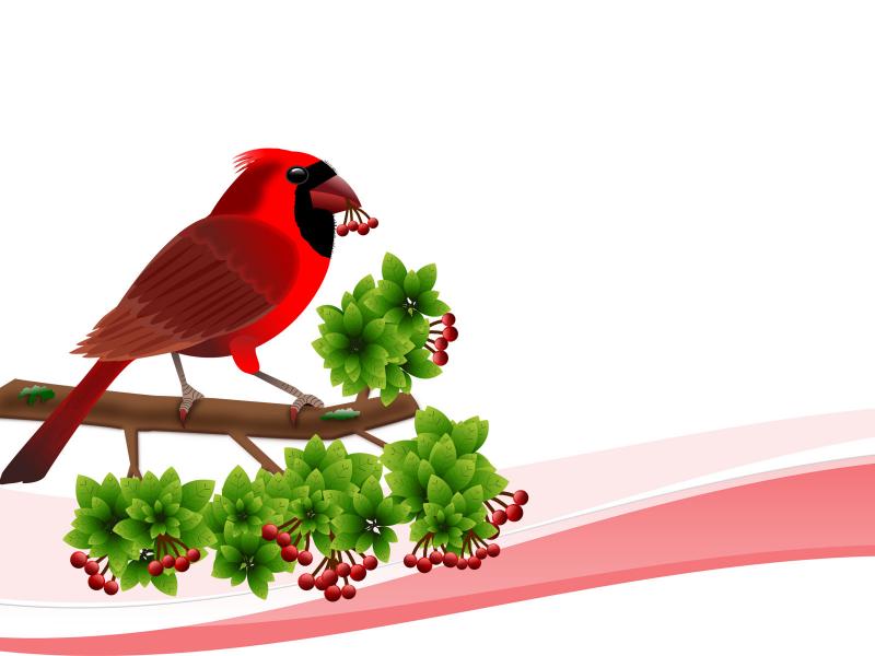 Detail Background Ppt Burung Nomer 31