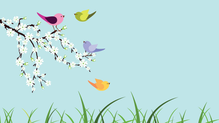 Detail Background Ppt Burung Nomer 32