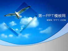 Detail Background Ppt Burung Nomer 36