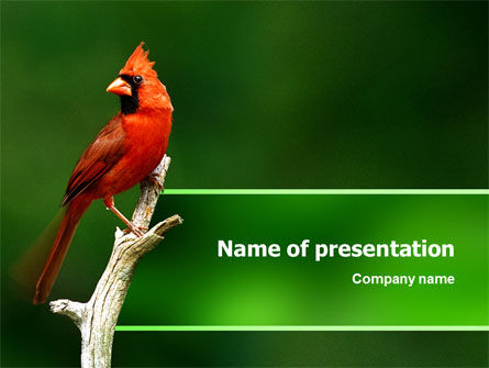 Detail Background Ppt Burung Nomer 40