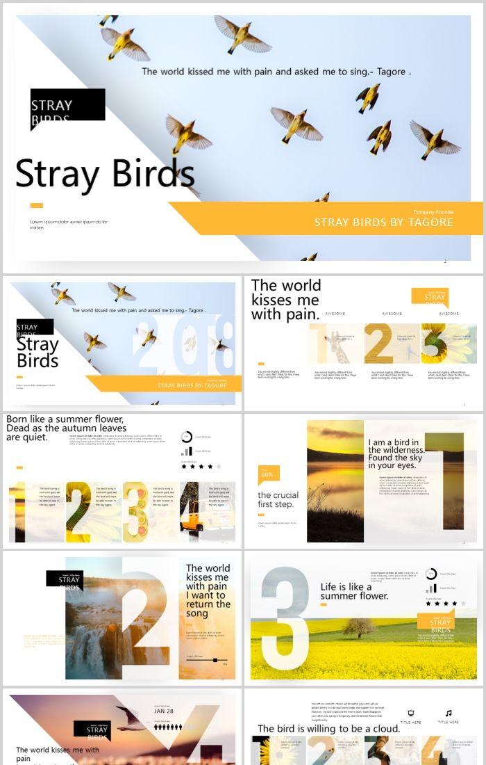 Detail Background Ppt Burung Nomer 44