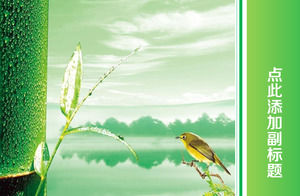 Detail Background Ppt Burung Nomer 6