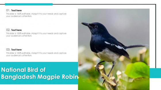 Detail Background Ppt Burung Nomer 53