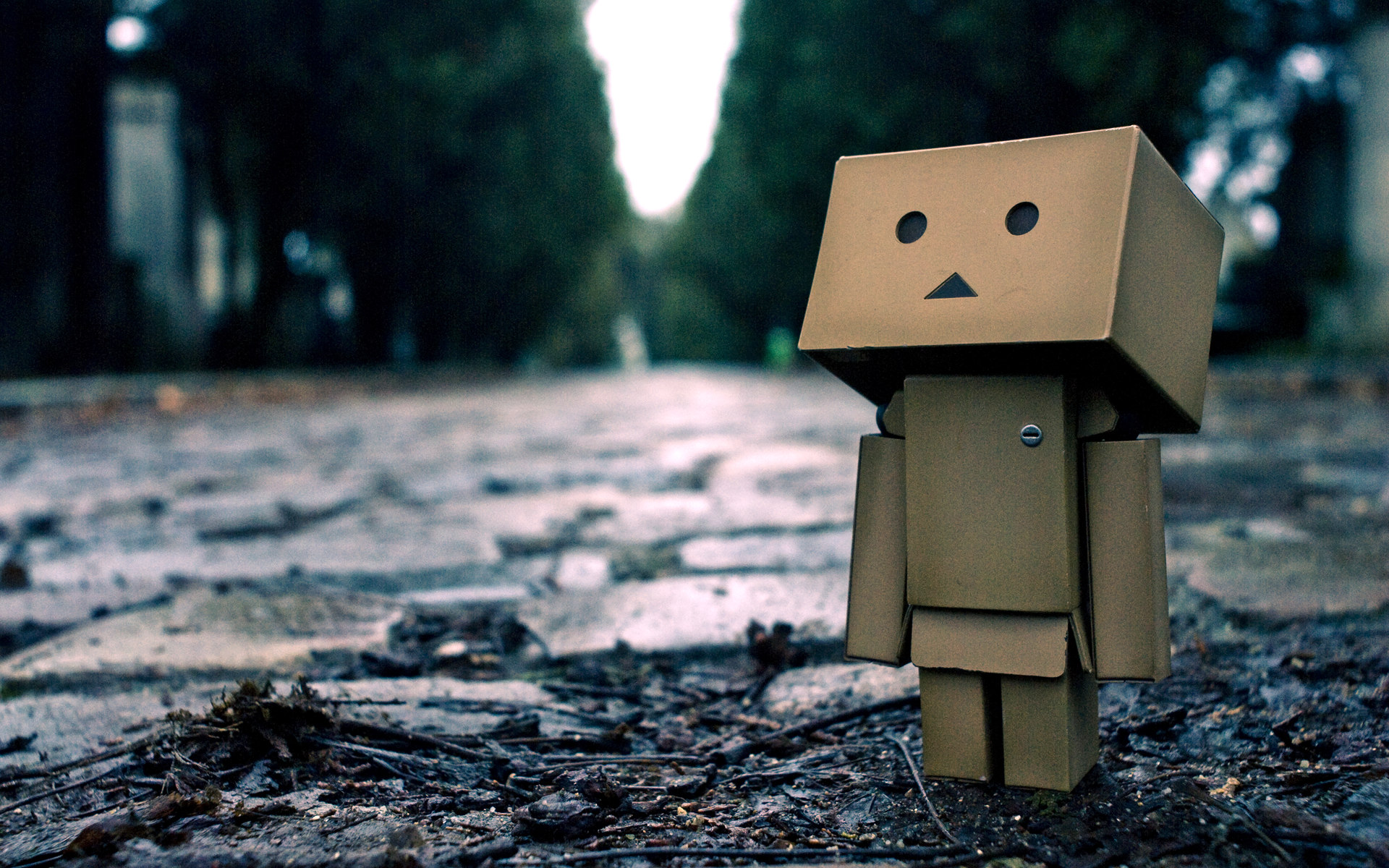 Detail Background Ppt Danbo Nomer 20