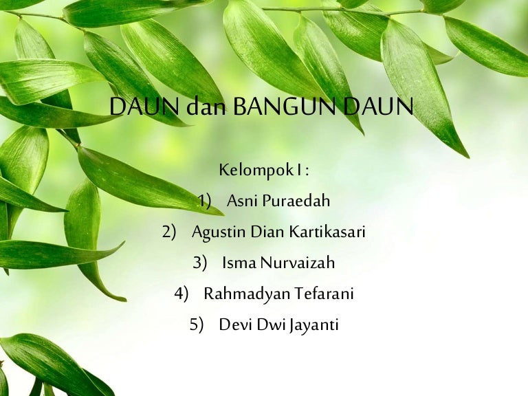 Detail Background Ppt Daun Nomer 45