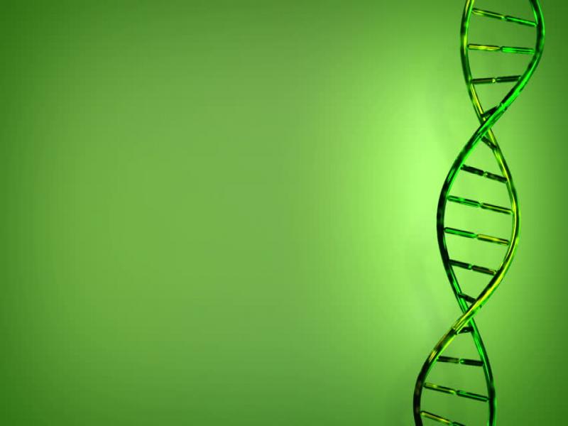 Detail Background Ppt Dna Nomer 26