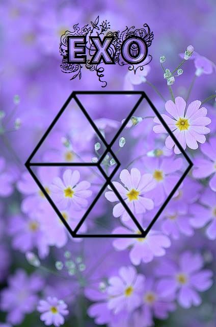 Detail Background Ppt Exo Nomer 28