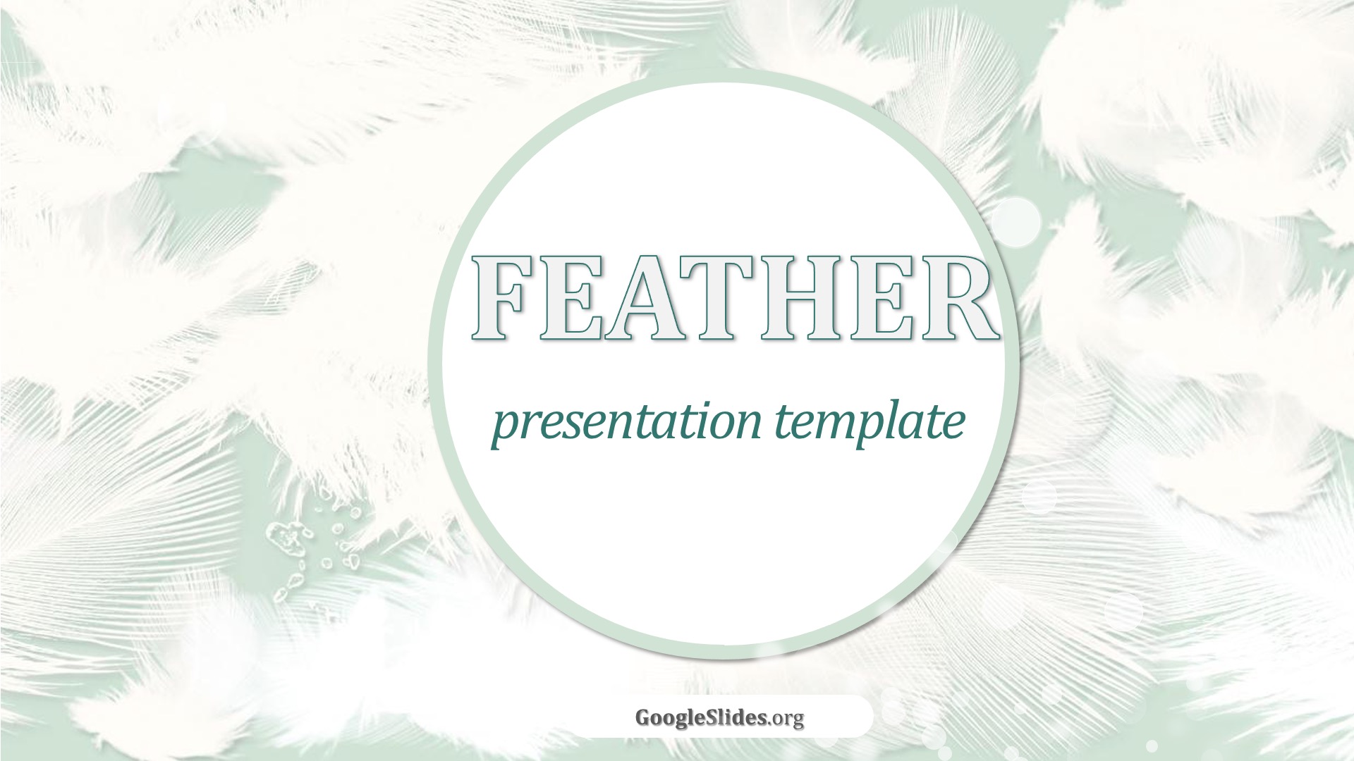 Detail Background Ppt Feather Nomer 16