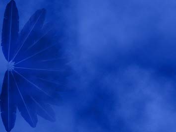 Detail Background Ppt Feather Nomer 28